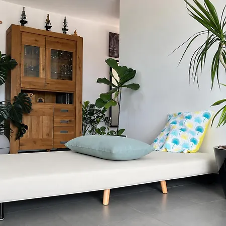 Maison De Plain Pied Villa